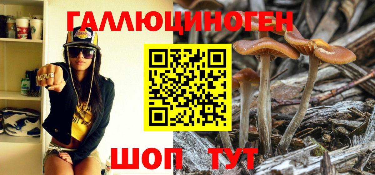 Псилоцибиновые грибы мухоморы Советск
