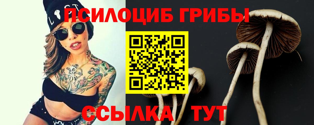 Галлюциногенные грибы Cubensis  Вход с VPN  Советск 